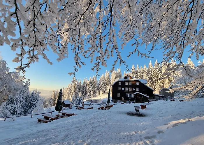 Domek alpejski Skalka *
